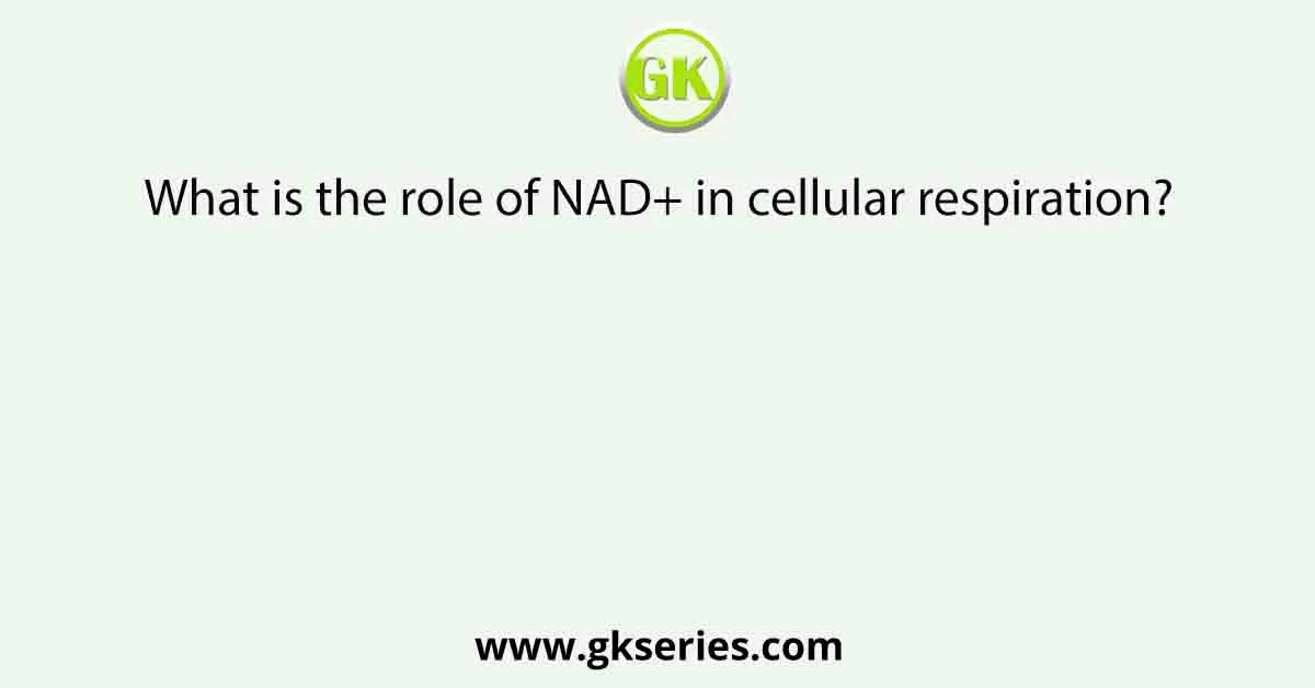 What is the role of NAD+ in cellular respiration?