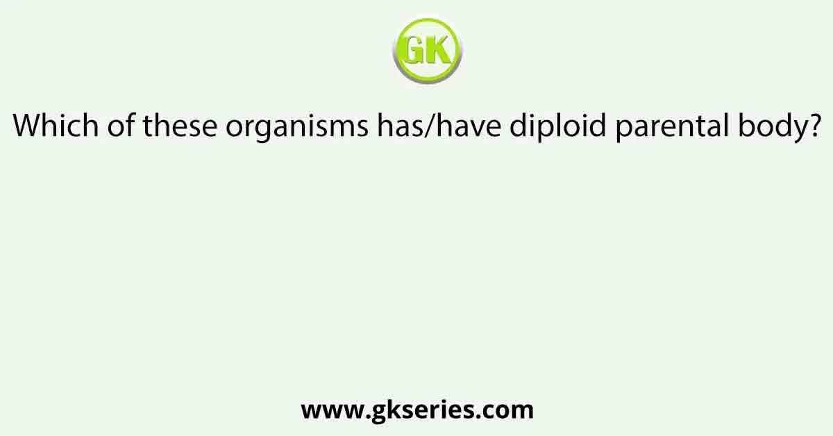 Which of these organisms has/have diploid parental body?