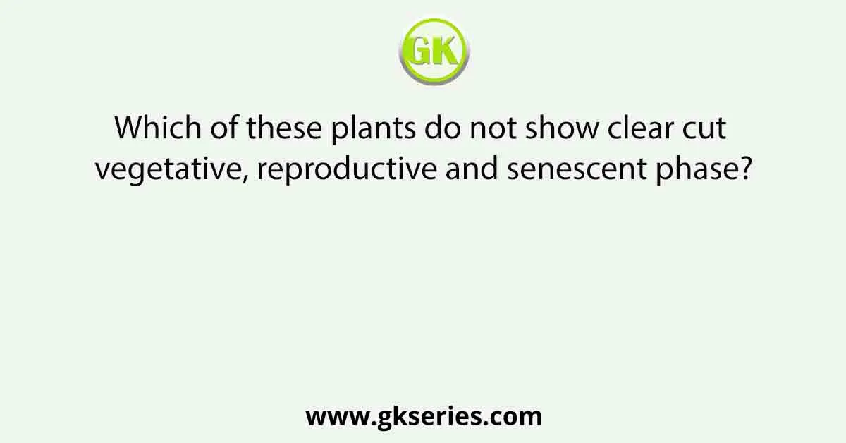 Which of these plants do not show clear cut vegetative, reproductive and senescent phase?