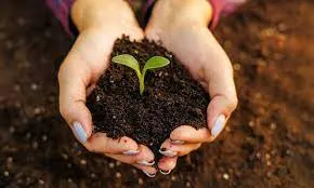 World Soil Day 2023 Observed on 5 December