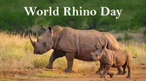 World Rhino Day 2024