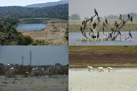 India Adds 4 New Ramsar Wetlands, First for Jharkhand & Sikkim