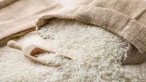 India Sets New HS Codes for GI-Tagged Rice Exports