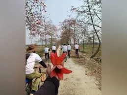 Nagaon Hosts 2nd Simolu Festival Amid Blooming Bombax Ceiba