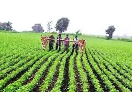 PM-AASHA Scheme Extended to Support Farmers Until 2025-26