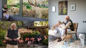 PM Modi Inaugurates Vantara, an Animal Rescue and Conservation Centre in Gujarat