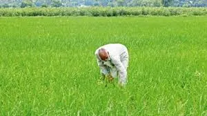 Tripura Launches Viksit Krishi Sankalp Abhiyan to Empower Farmers