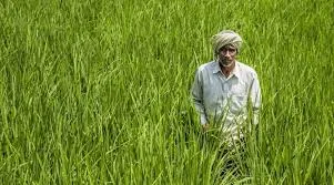 Prime Minister Dhan-Dhaanya Krishi Yojana