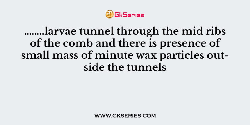 ……..larvae tunnel through the mid ribs of the comb and there is presence of small mass of minute wax particles outside the tunnels