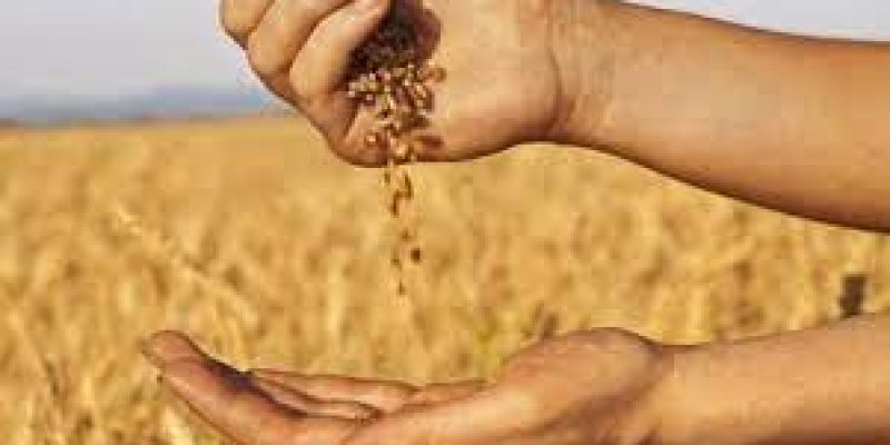 2022 Global Food Security Index (GFSI) Report