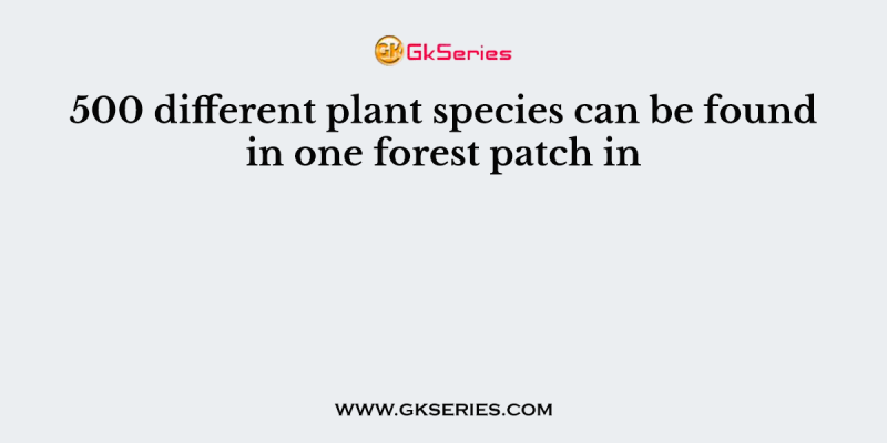 500 different plant species can be found in one forest patch in