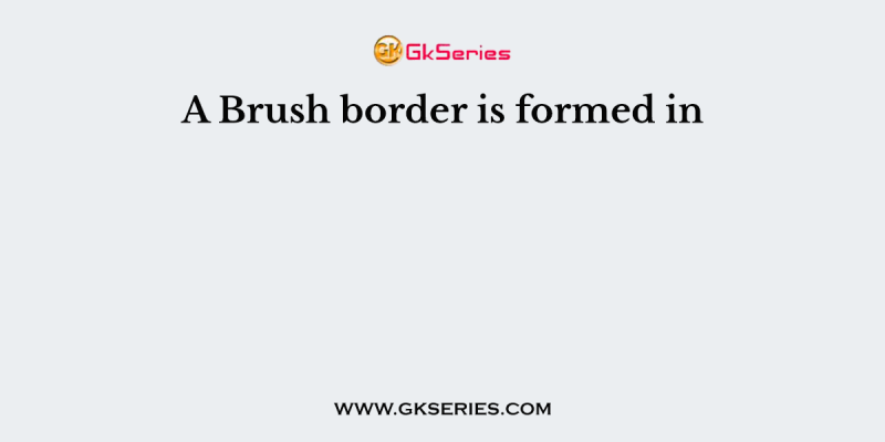 A Brush border is formed in
