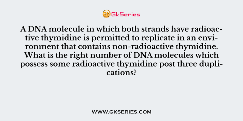 A DNA molecule in which both strands have radioactive thymidine is permitted to replicate in an environment that contains non-radioactive thymidine