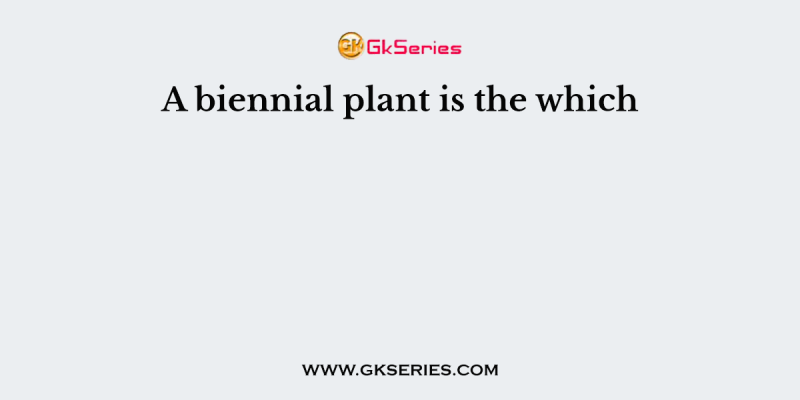 A biennial plant is the which