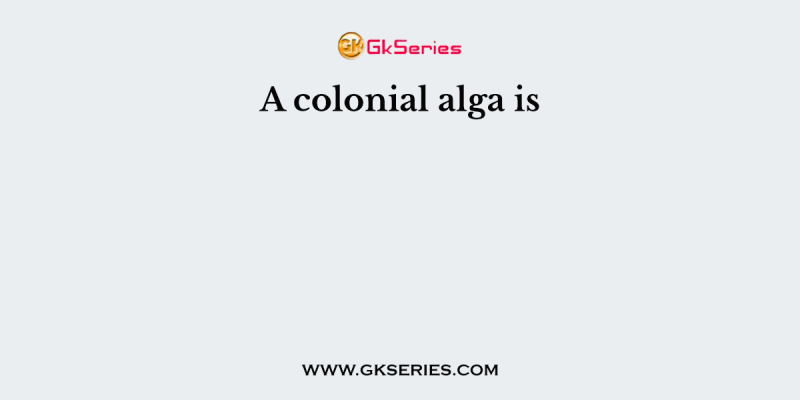A colonial alga is