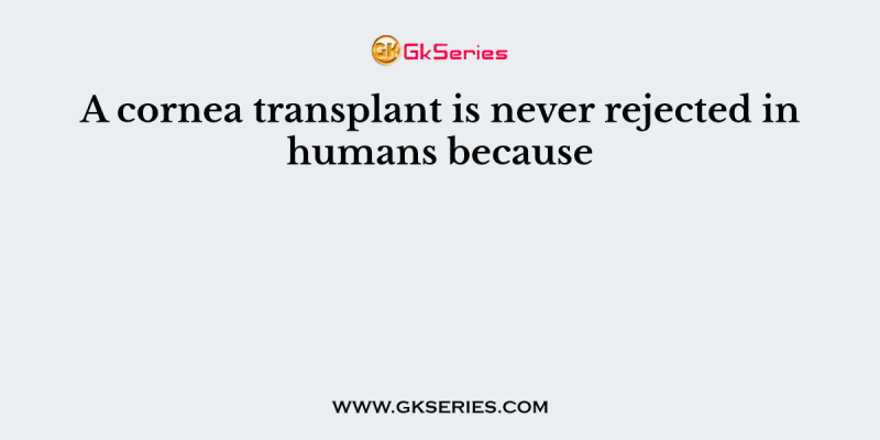 A cornea transplant is never rejected in humans because