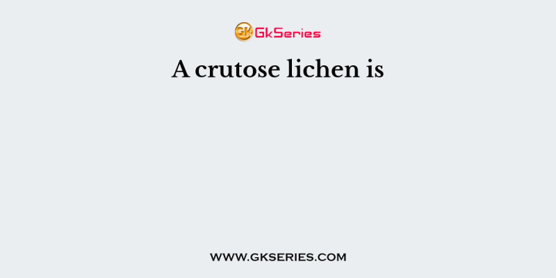 A crutose lichen is
