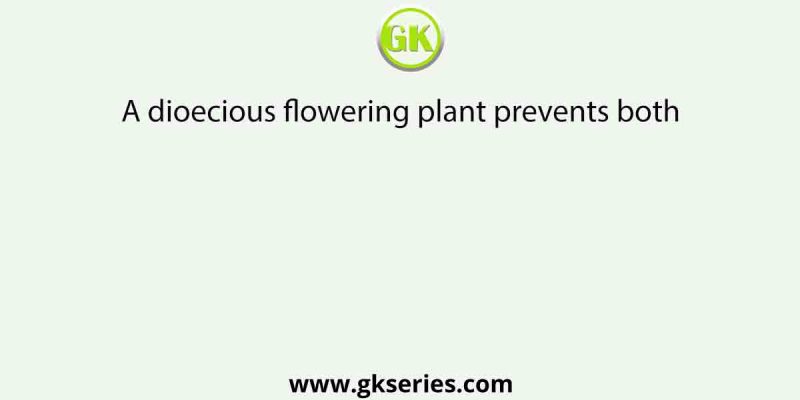 A dioecious flowering plant prevents both