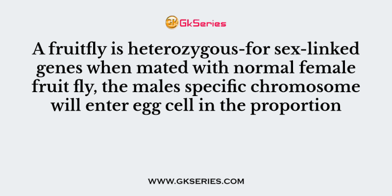 A fruitfly is heterozygous-for sex-linked genes when mated with normal female fruit fly, the males specific chromosome will enter egg cell in the proportion