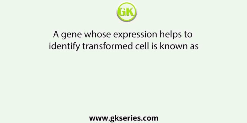 A gene whose expression helps to identify transformed cell is known as