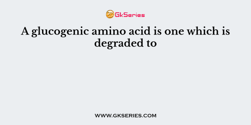 A glucogenic amino acid is one which is degraded to