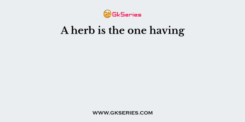 A herb is the one having