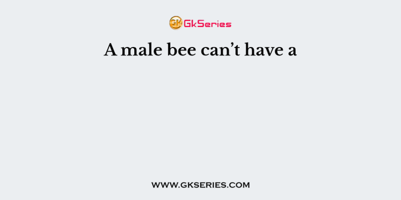 A male bee can’t have a