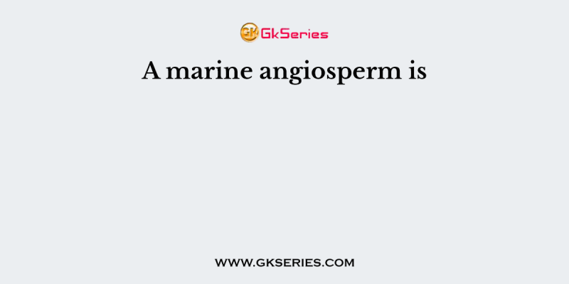 A marine angiosperm is