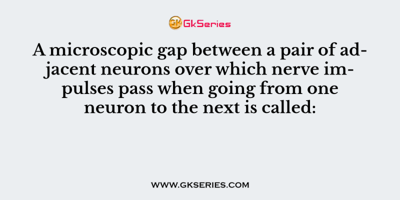 A microscopic gap between a pair of adjacent neurons over which nerve impulses pass when going from one neuron to the next is called: