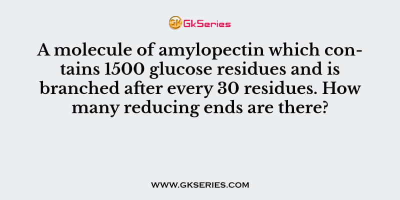 A molecule of amylopectin which contains 1500 glucose residues and is branched after every 30 residues. How many reducing ends are there?