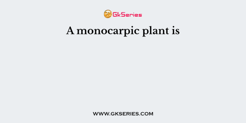 A monocarpic plant is