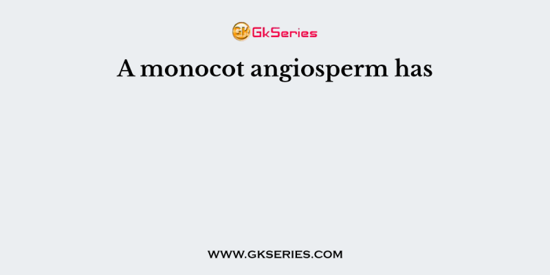 A monocot angiosperm has