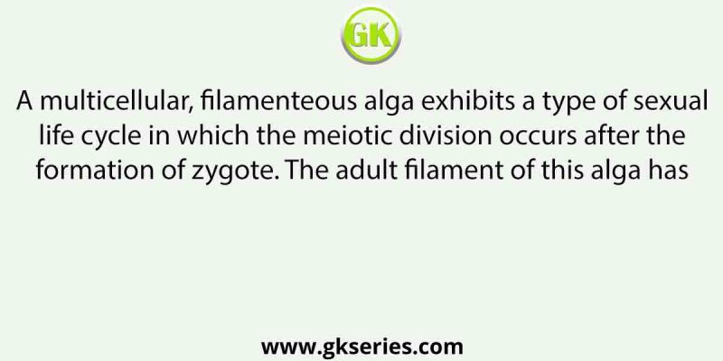 A multicellular, filamenteous alga exhibits a type of sexual life cycle in which the meiotic division occurs after the formation of zygote. The adult filament of this alga has