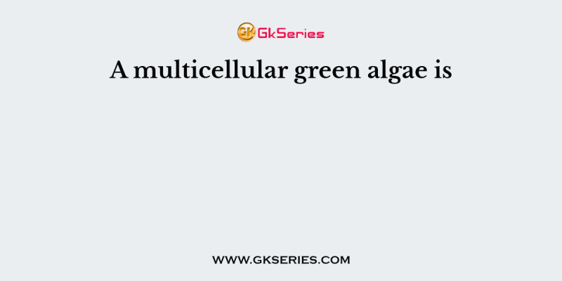 A multicellular green algae is