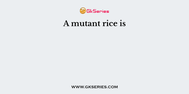A mutant rice is