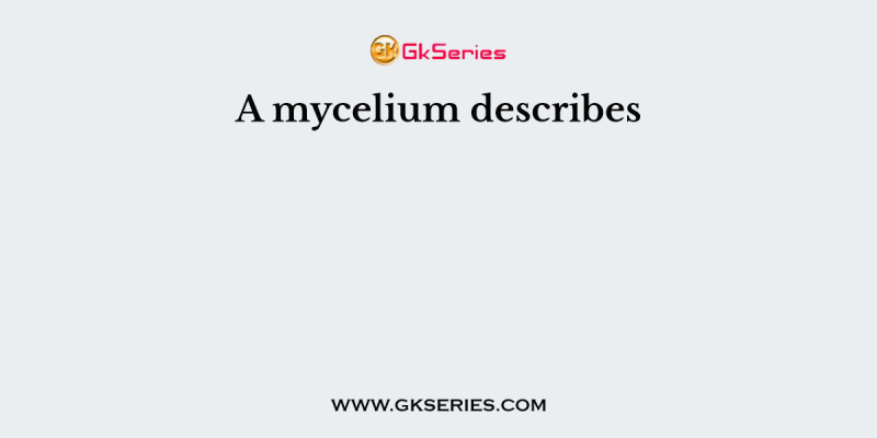 A mycelium describes