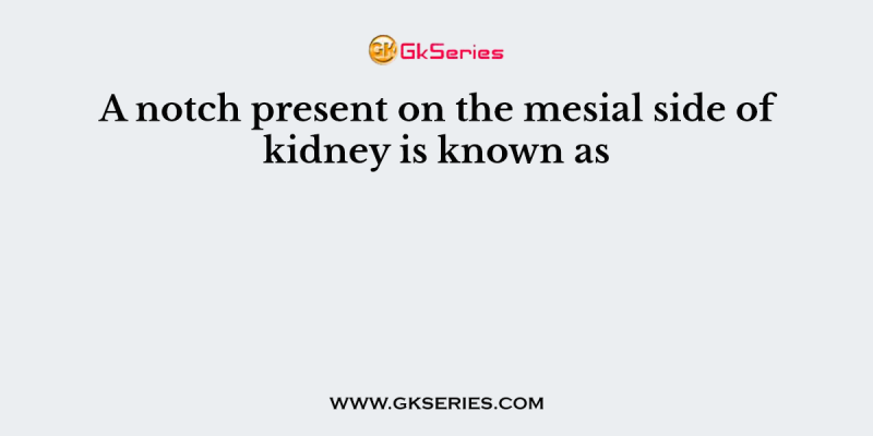 A notch present on the mesial side of kidney is known as