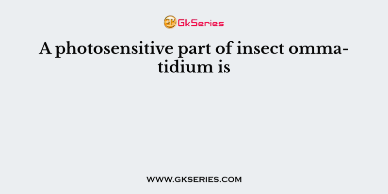A photosensitive part of insect ommatidium is