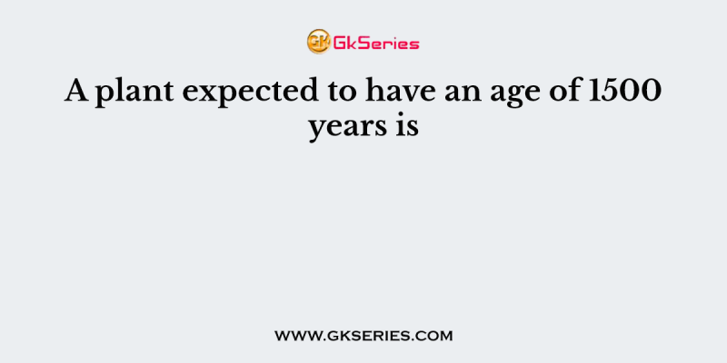 A plant expected to have an age of 1500 years is