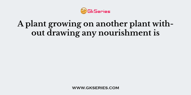 A plant growing on another plant without drawing any nourishment is