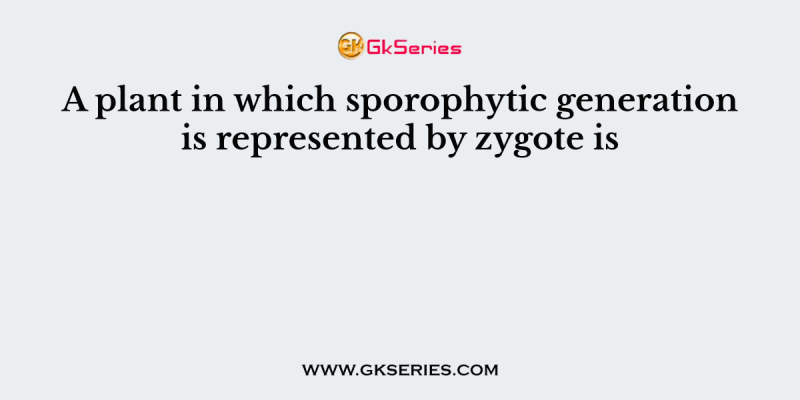 A plant in which sporophytic generation is represented by zygote is
