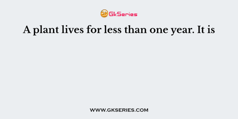 A plant lives for less than one year. It is