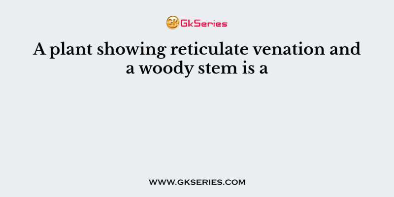 A plant showing reticulate venation and a woody stem is a