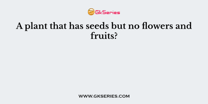 A plant that has seeds but no flowers and fruits?