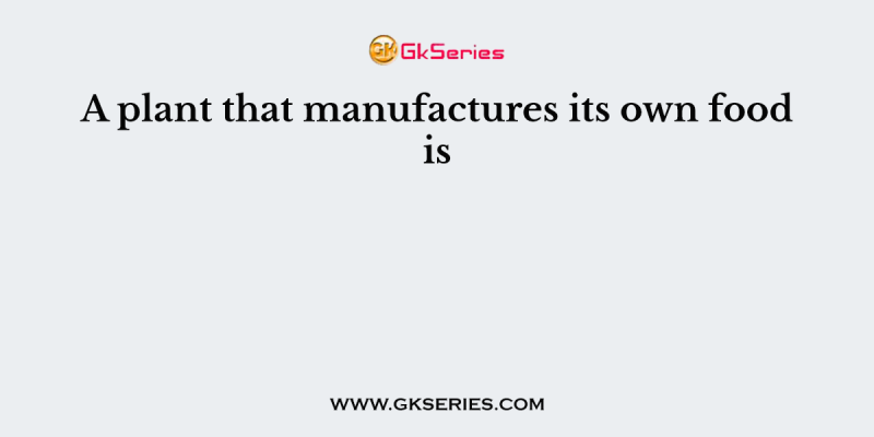 A plant that manufactures its own food is