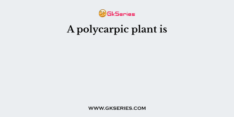 A polycarpic plant is