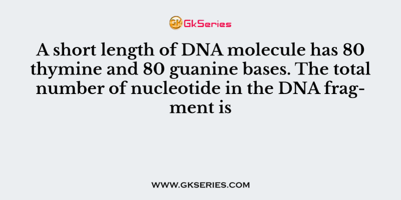 A short length of DNA molecule has 80 thymine and 80 guanine bases. The total number of nucleotide in the DNA fragment is