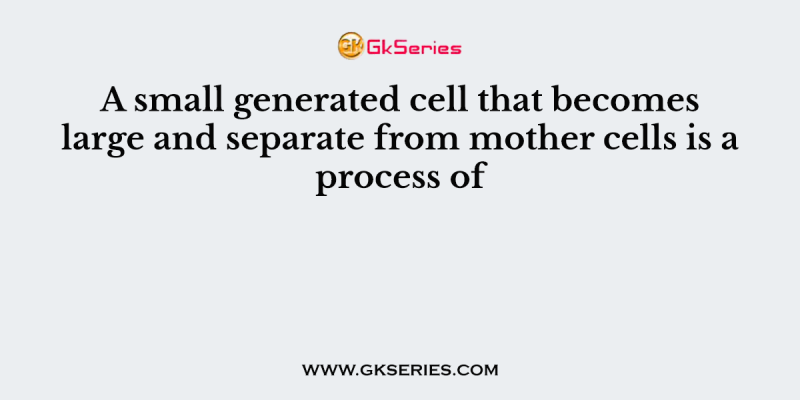 A small generated cell that becomes large and separate from mother cells is a process of