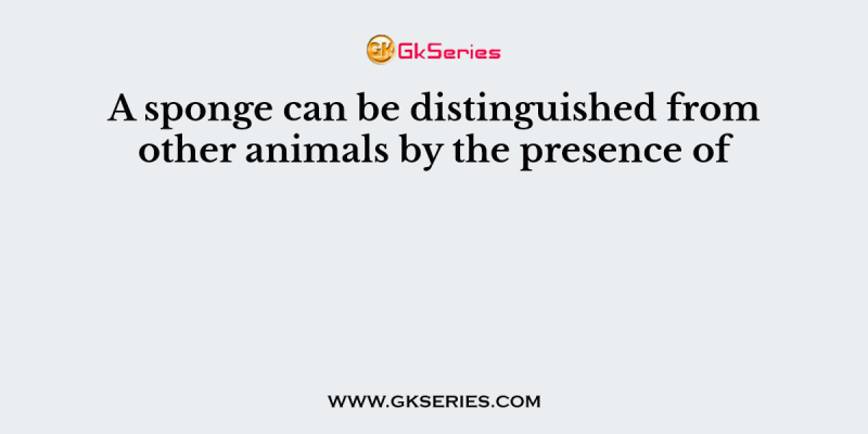 A sponge can be distinguished from other animals by the presence of
