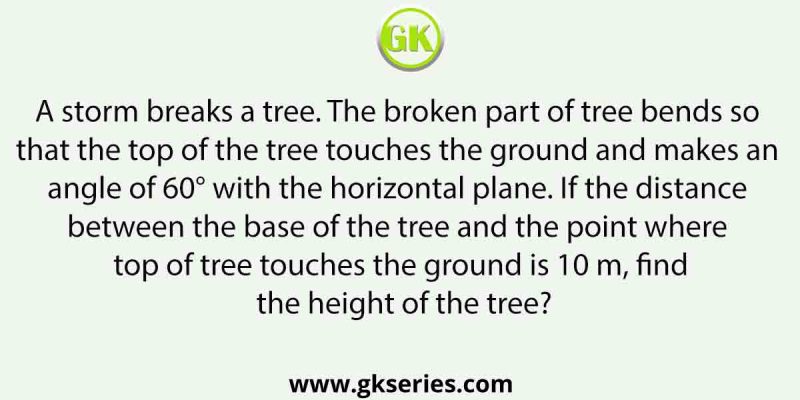 A storm breaks a tree. The broken part of tree bends so that the top of the tree touches the ground and makes an angle of 60° with the horizontal plane. If the distance between the base of the tree and the point where top of tree touches the ground is 10 m, find the height of the tree?